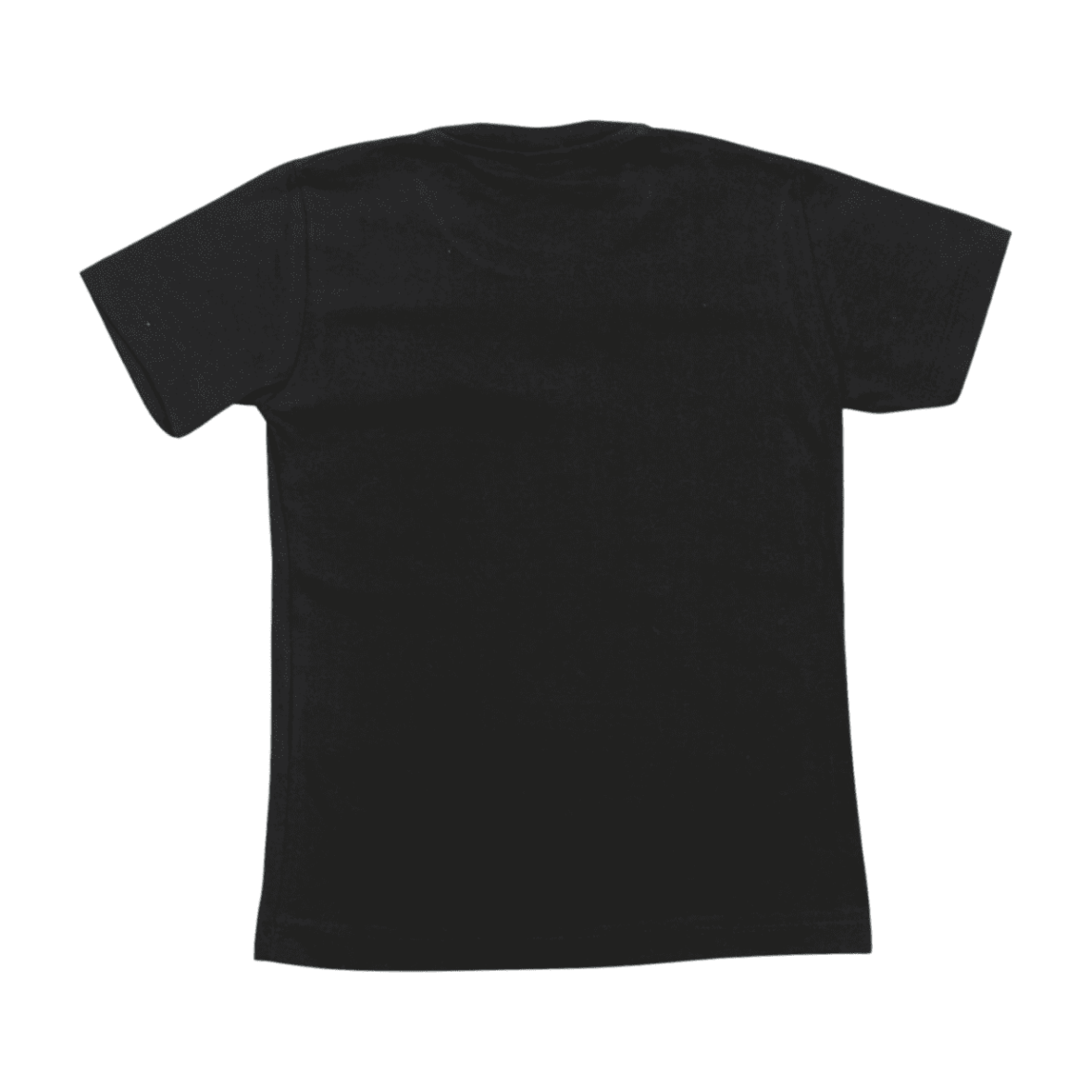 Camiseta Manga Curta Lisa P007 – Teddy