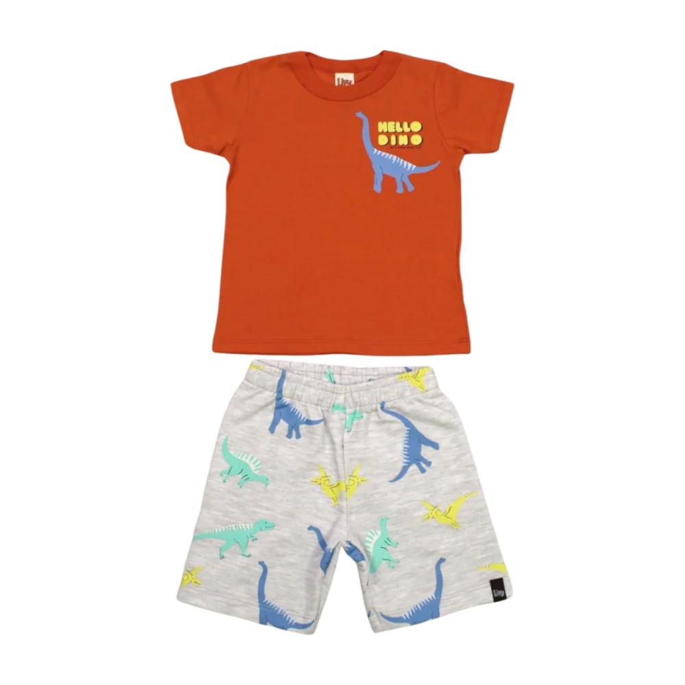 Conjunto Masculino Camiseta e Bermuda Moletinho Estampada Dinossauros 8948 – Livy