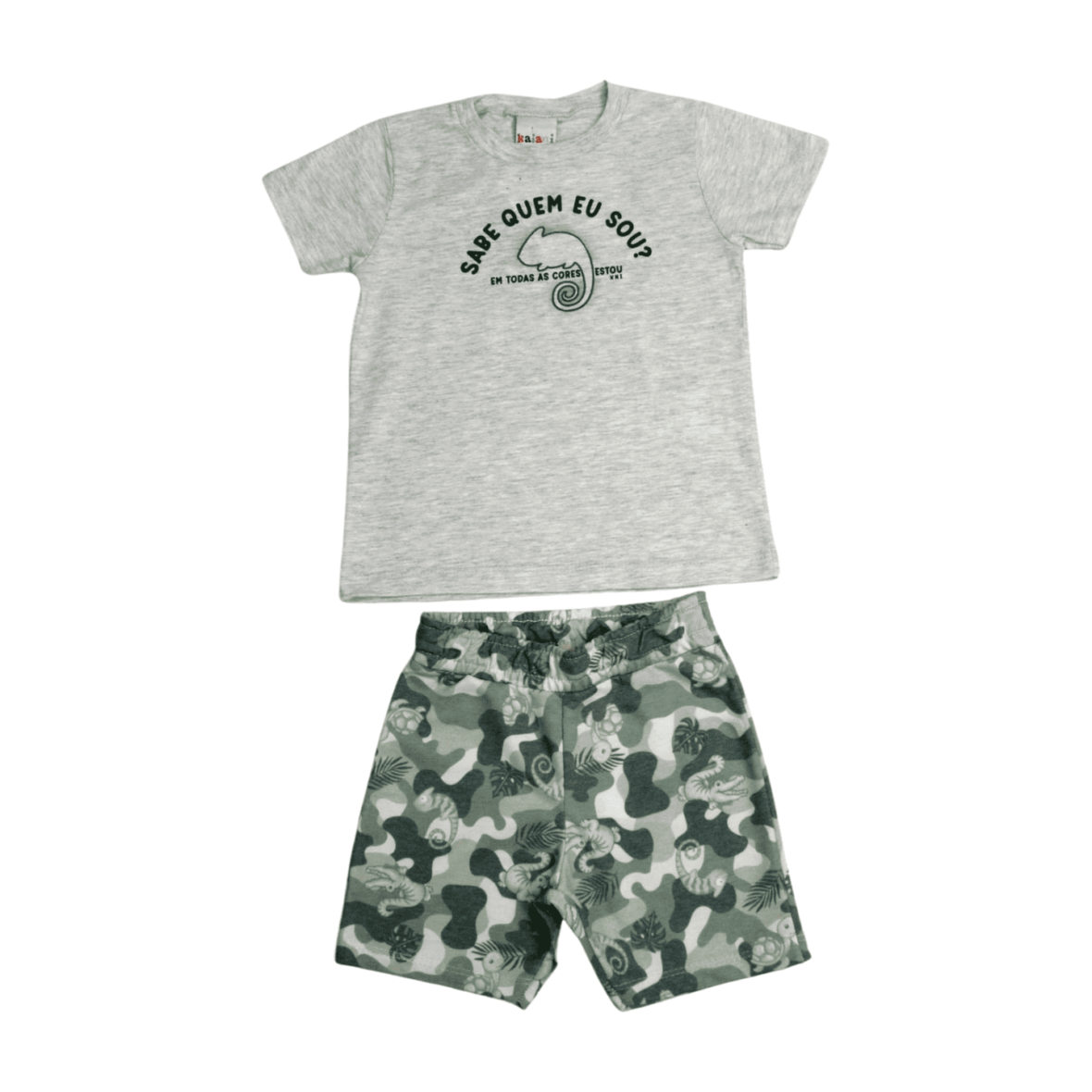 Conjunto Masculino Camiseta e Bermuda Moletinho Estampa Bichos 11457 – Kaiani
