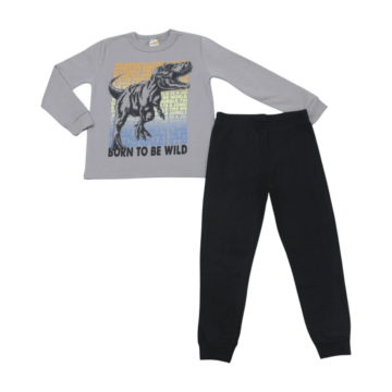 agasalho_masculino_estampa_dinossauro_55509_brandili_53578_variacao_149806_1_b7accf60d9877c7a7f3a3262ed03c0f9.png