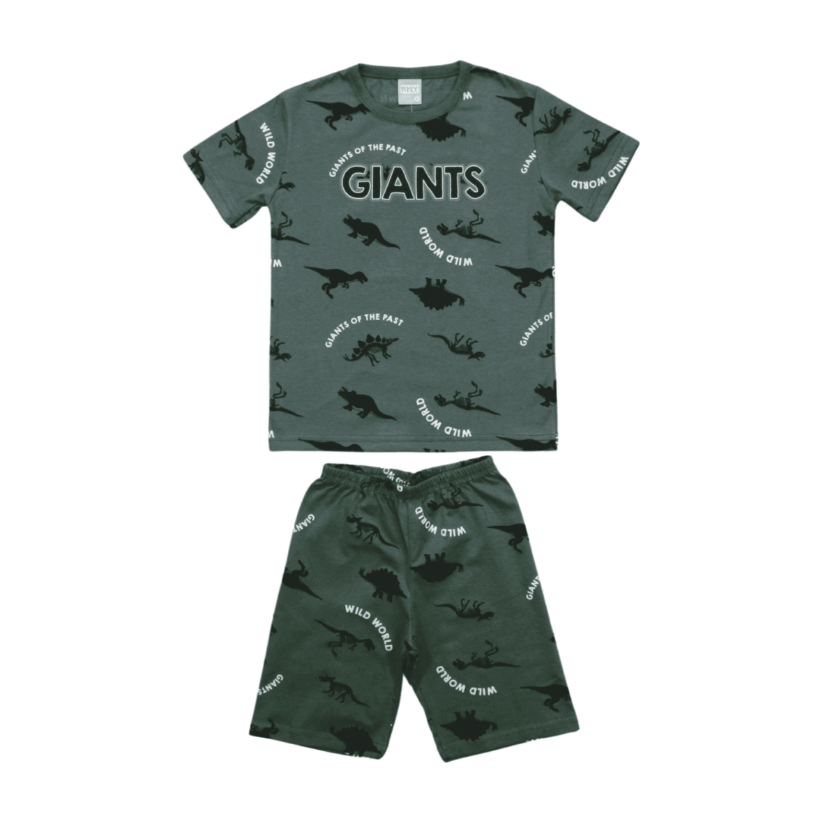 Pijama Malha Curto Masculino Estampa Dinossauros Brilha no Escuro 1000454 – Kyly