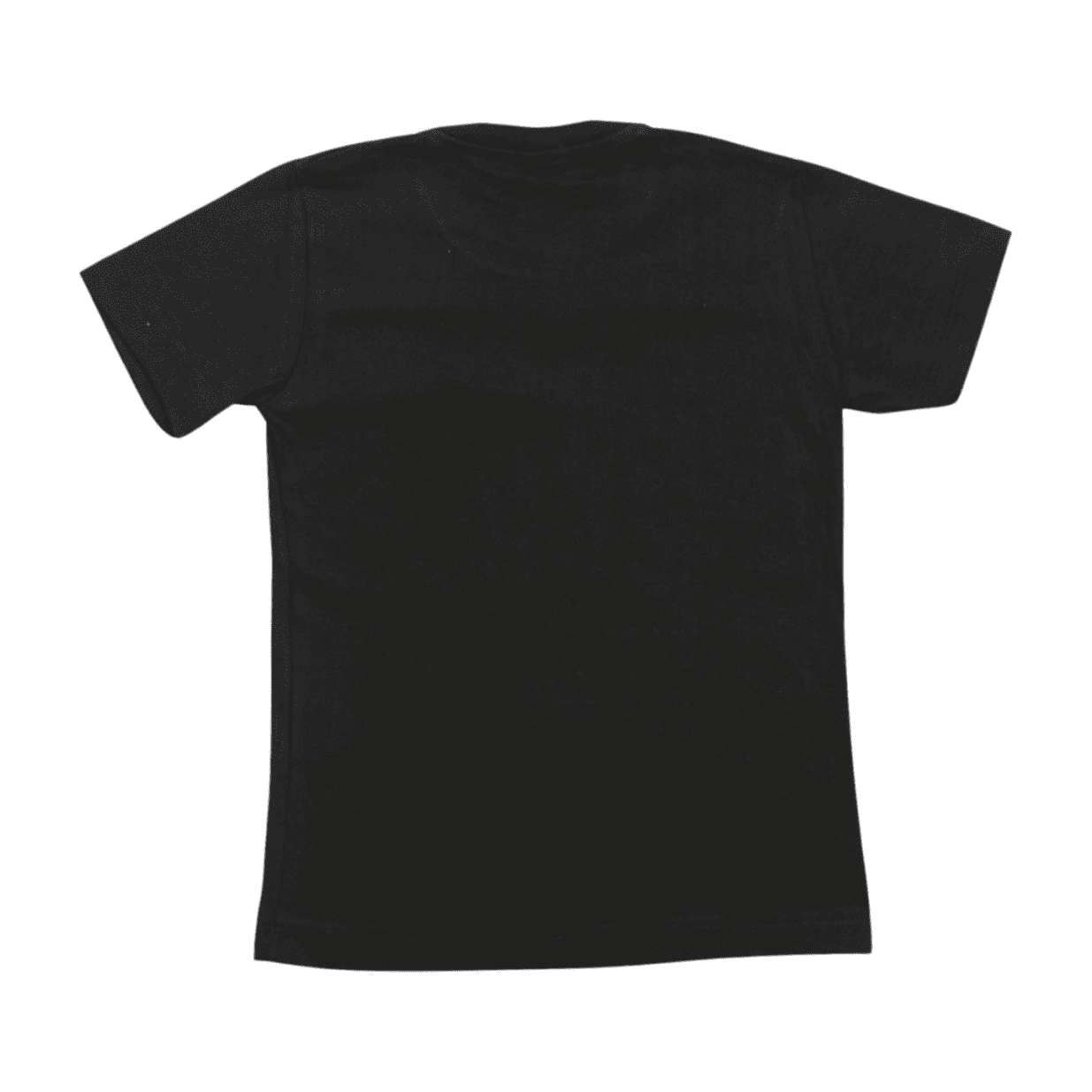 Camiseta Manga Curta Lisa P007 - Teddy