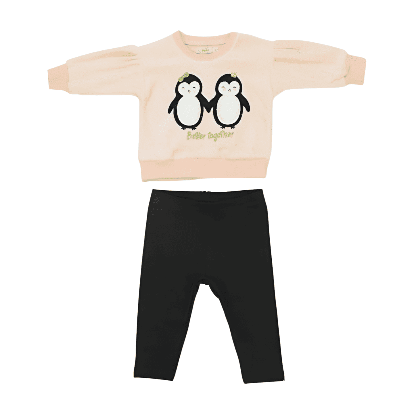 Conjunto Longo Feminino Blusão Plush e Legging Molecotton Pinguim 112574 - Trick Nick