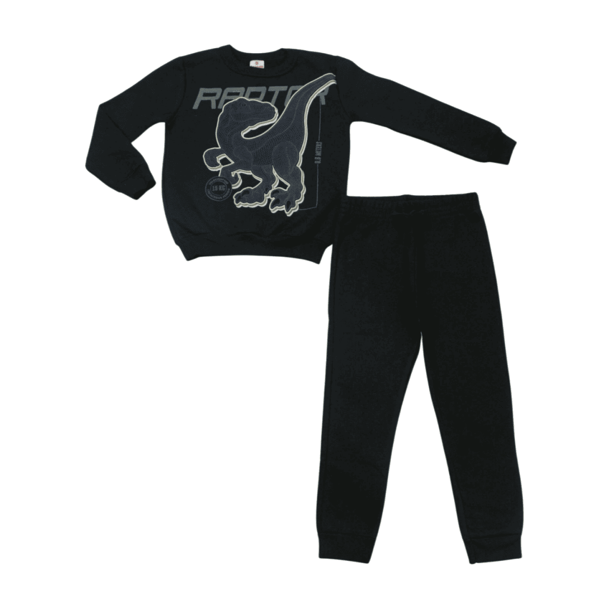 Agasalho Masculino Estampa Dino 55450 - Brandili