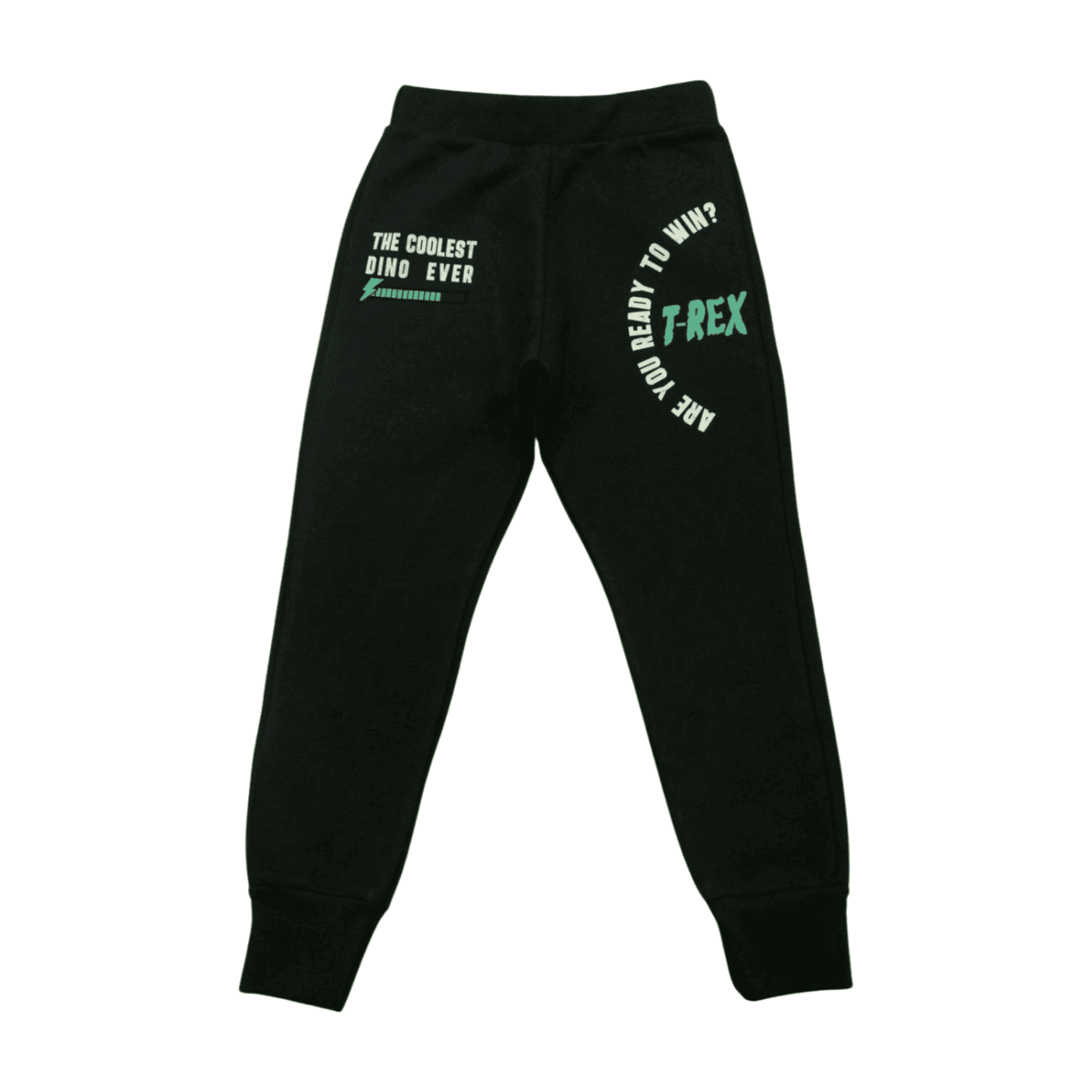 Calça Moletom Masculina T.Rex 8472 - Livy