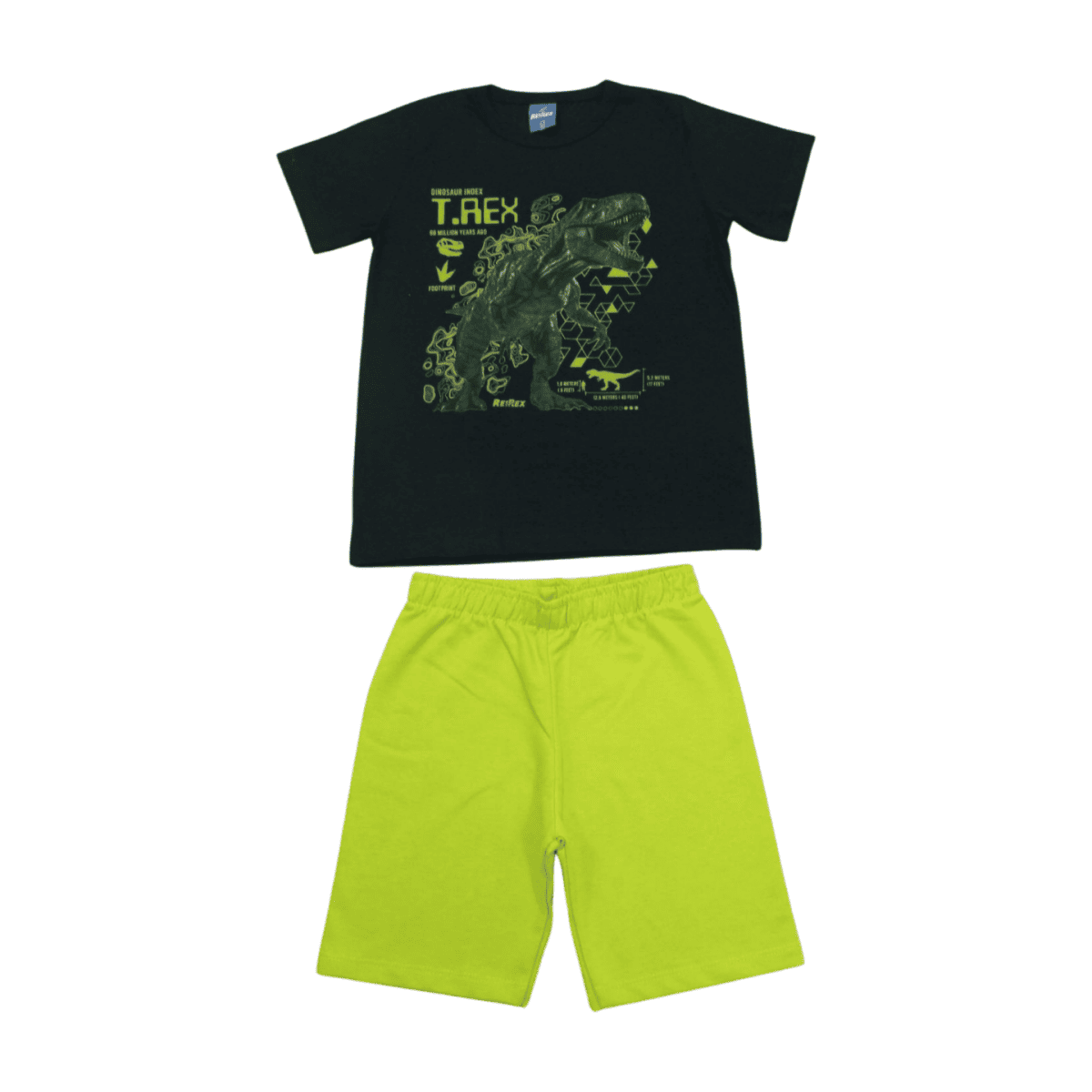 Conjunto Masculino Camiseta Estampa T- Rex e Bermuda Moletinho 47012 - Rei Rex