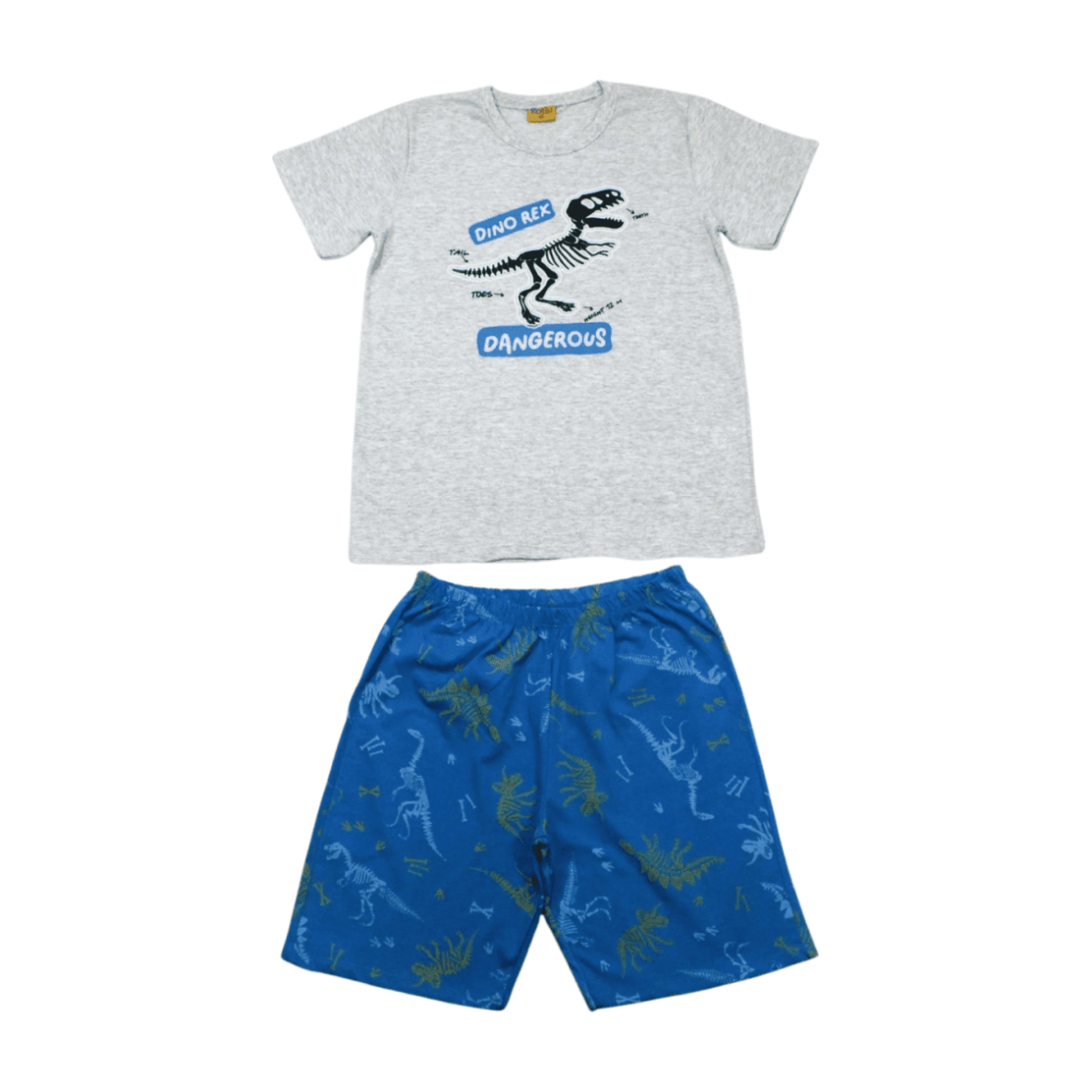 Pijama Malha Curto Masculino Estampa Dinossauros Brilha no Escuro 22293 – Rollu
